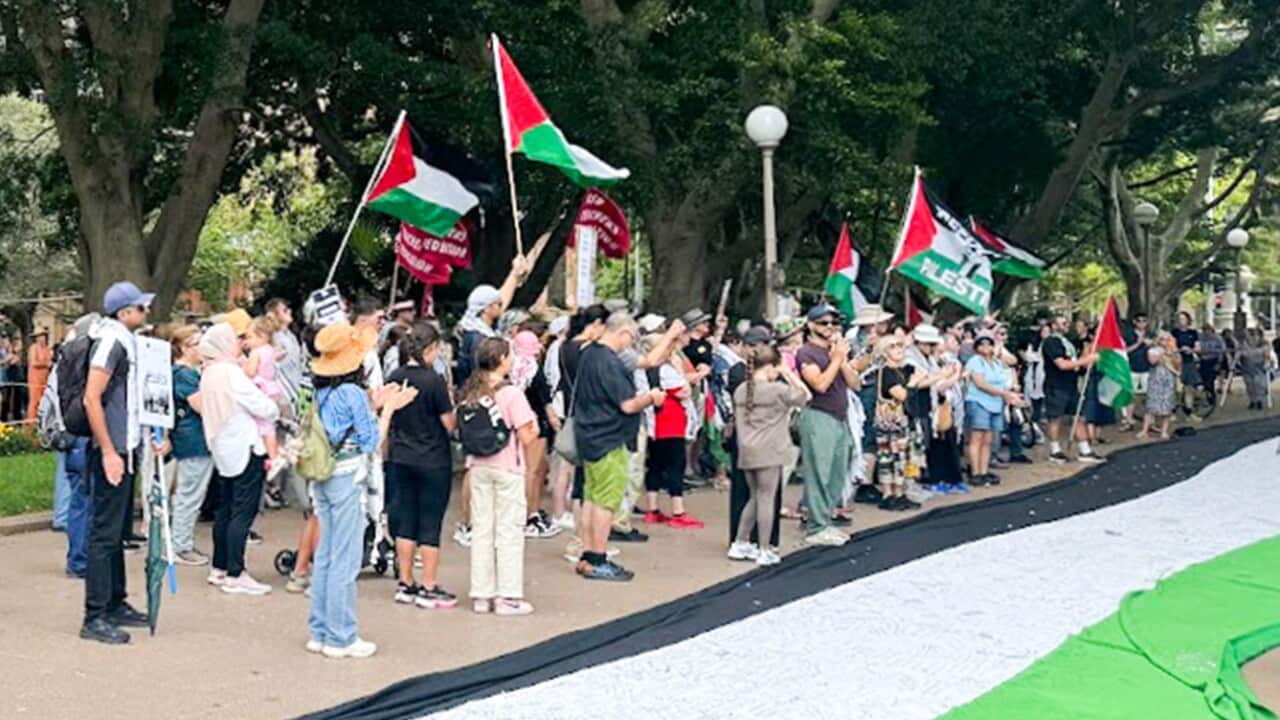 A crowd of protesters gathers in a park lined with large trees, holding Palestinian flags and standing behind a massive Palestinian flag banner on the ground.