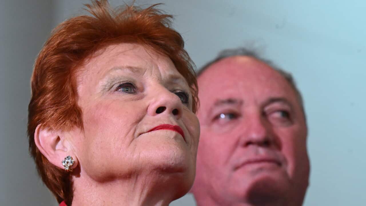 PAULINE HANSON DAVID FARLEY PRESSER