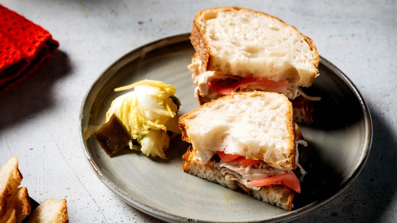 Roast chicken sandwich with garlic jam and pickled cabbage