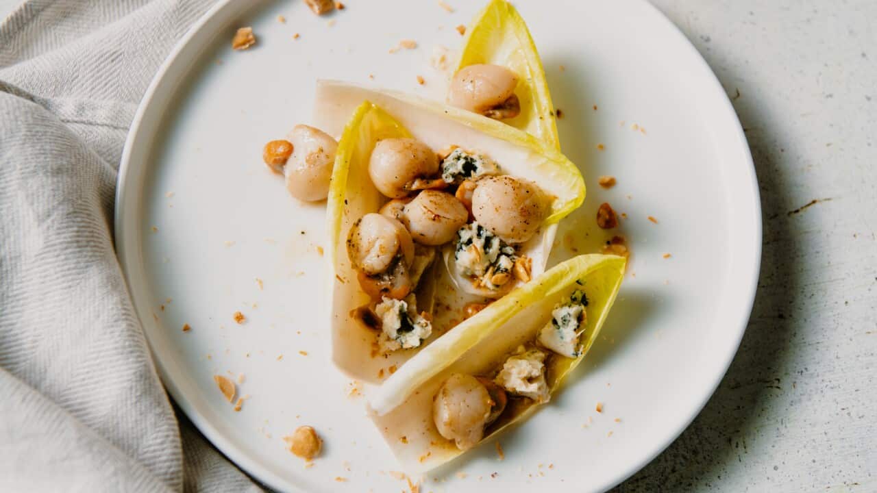 Salad of grilled scallops and hazelnut vinaigrette