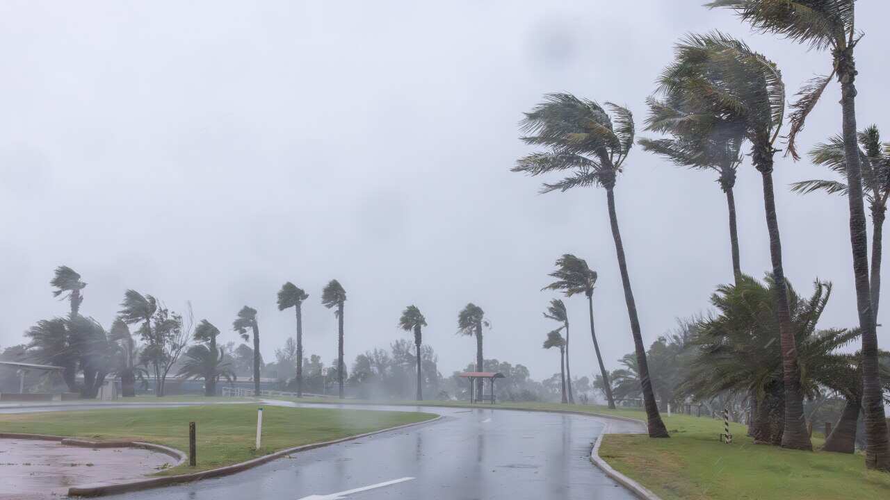 Trees blowing wildly as severe rain and wind hits a park.