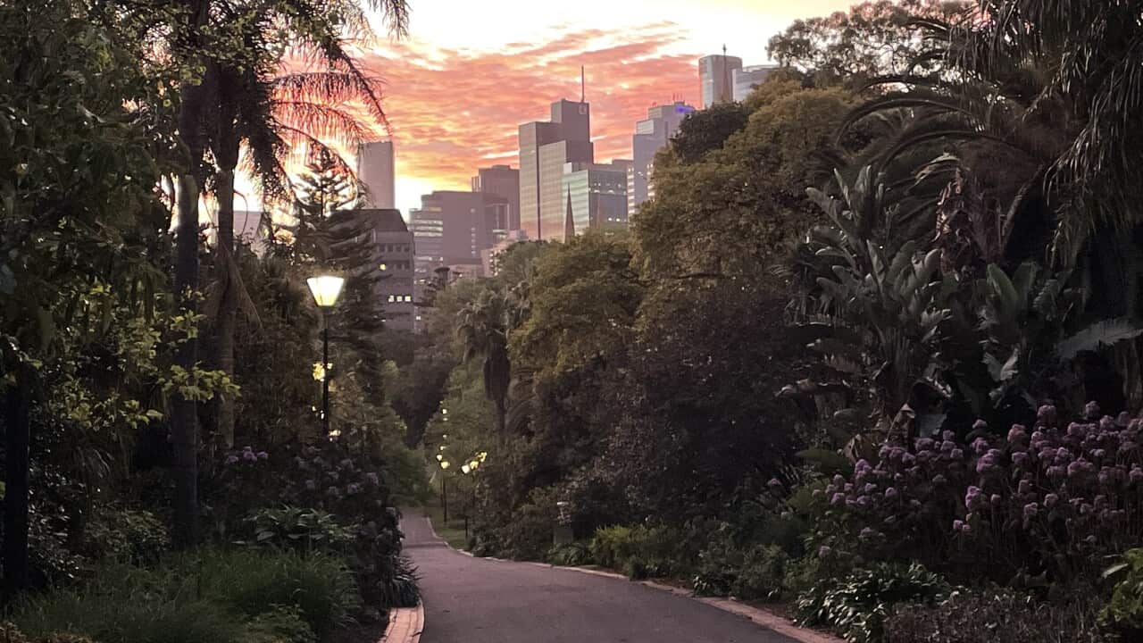 Fitzroy Gardens Melbourne SBS Serbian News.jpg