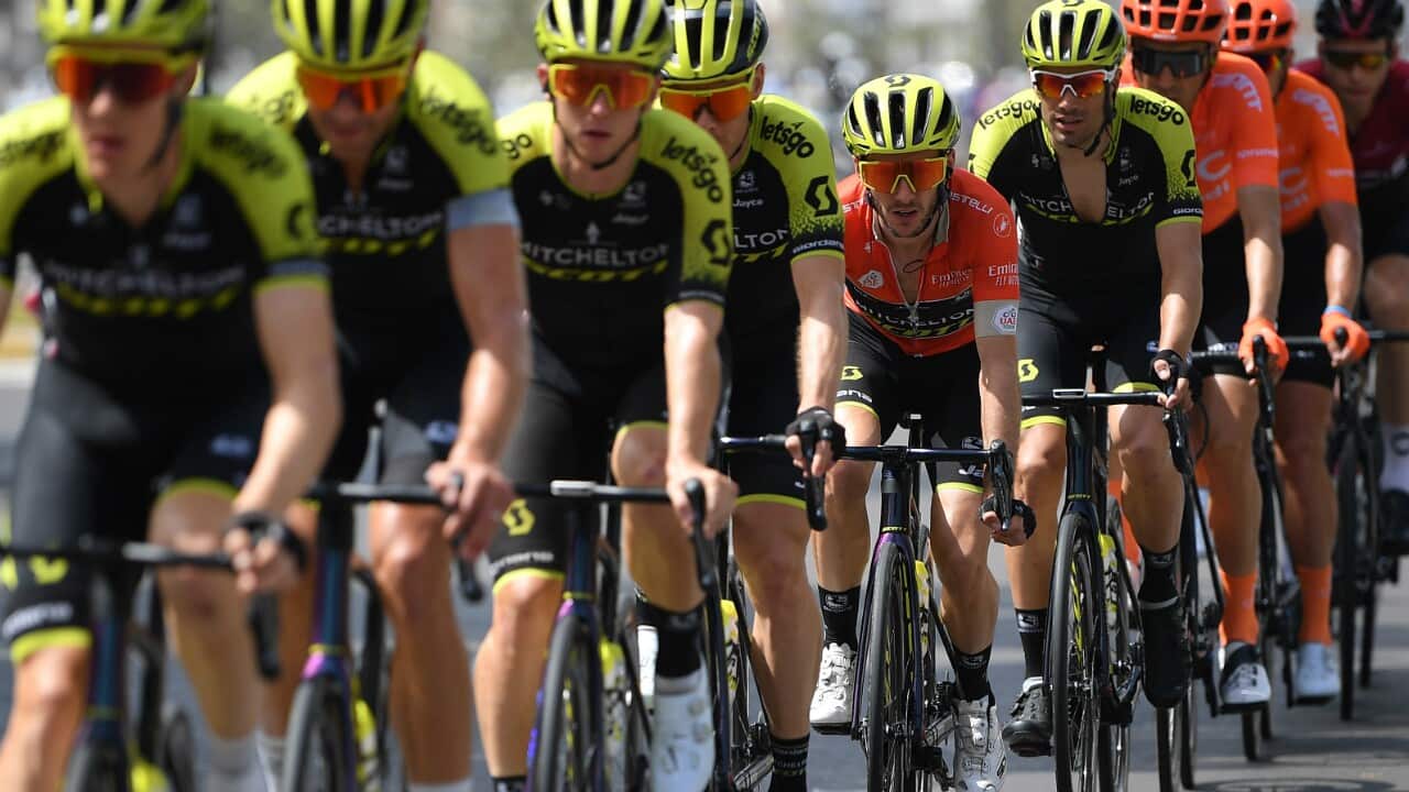 Mitchelton-Scott