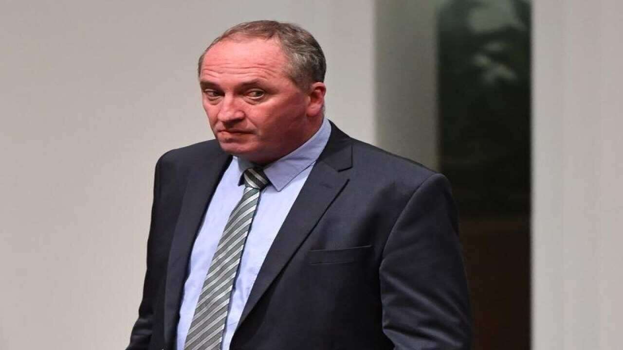 Former deputy prime minister Barnaby Joyce
