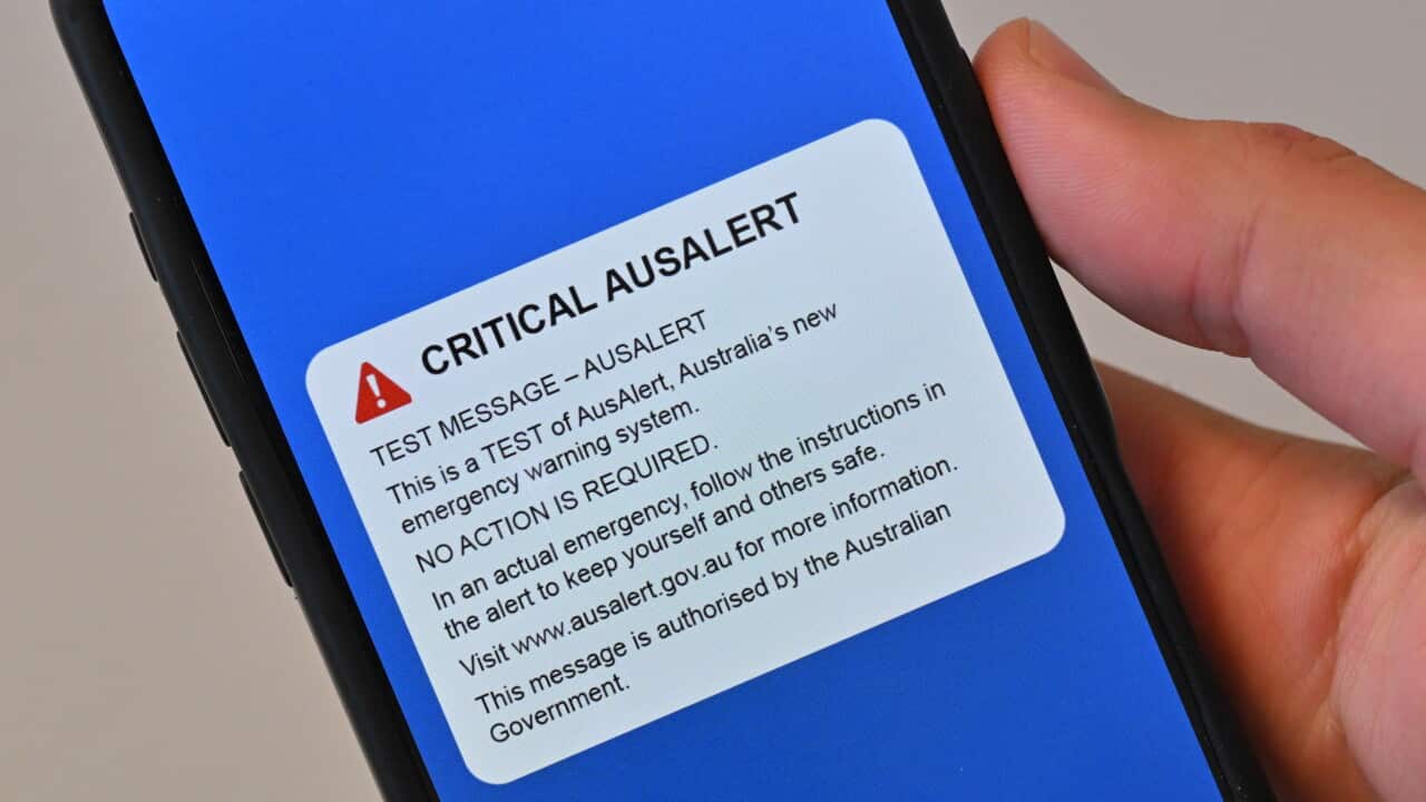 AUSALERT STOCK