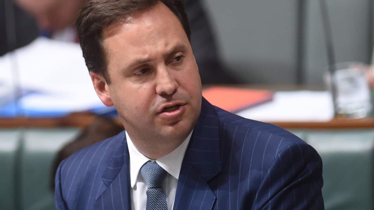 Australia's Trade Minister Steve Ciobo