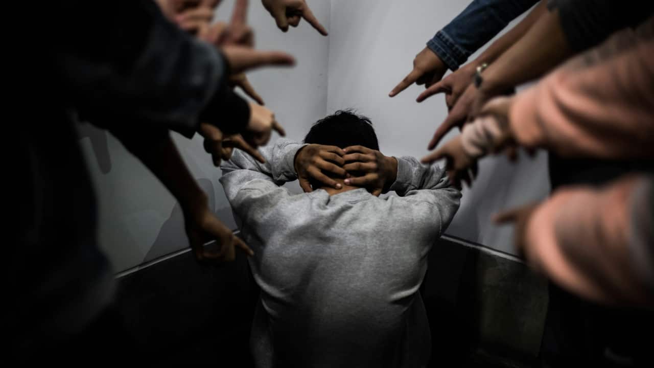 Image for read more article ''