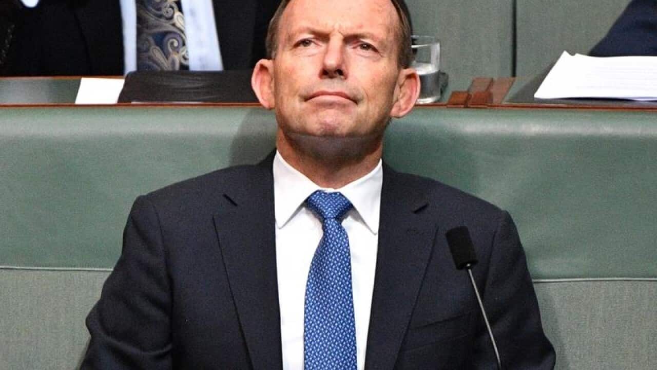 Former prime minister and Liberal Member for Warringah Tony Abbott