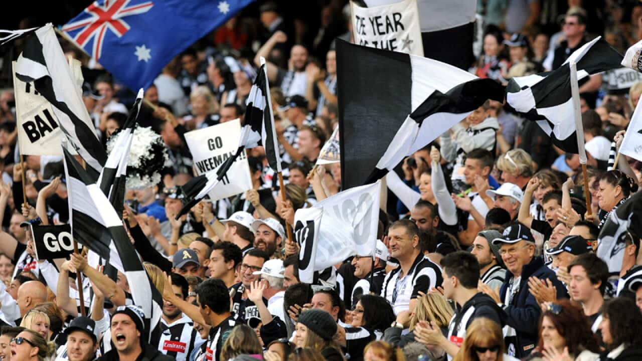 Collingwood fans celebrate after a goal