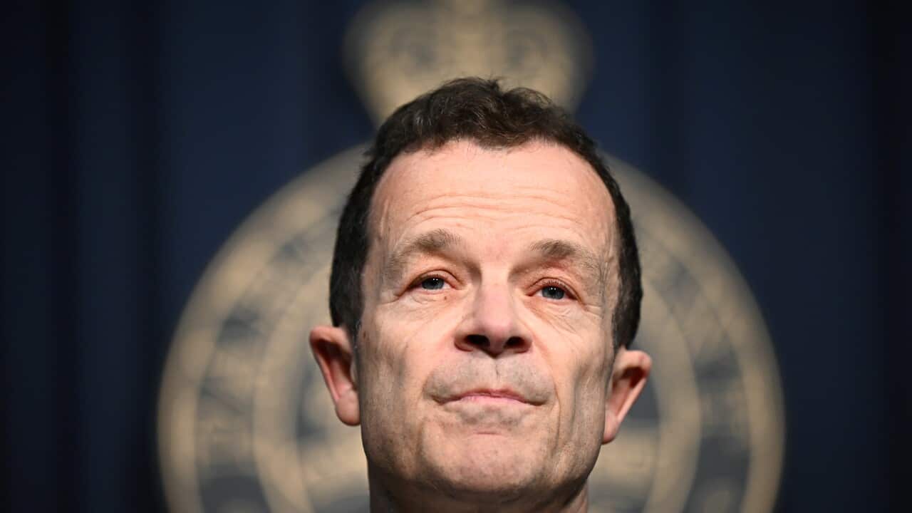 NSW LIBERALS COUNCIL ELECTIONS