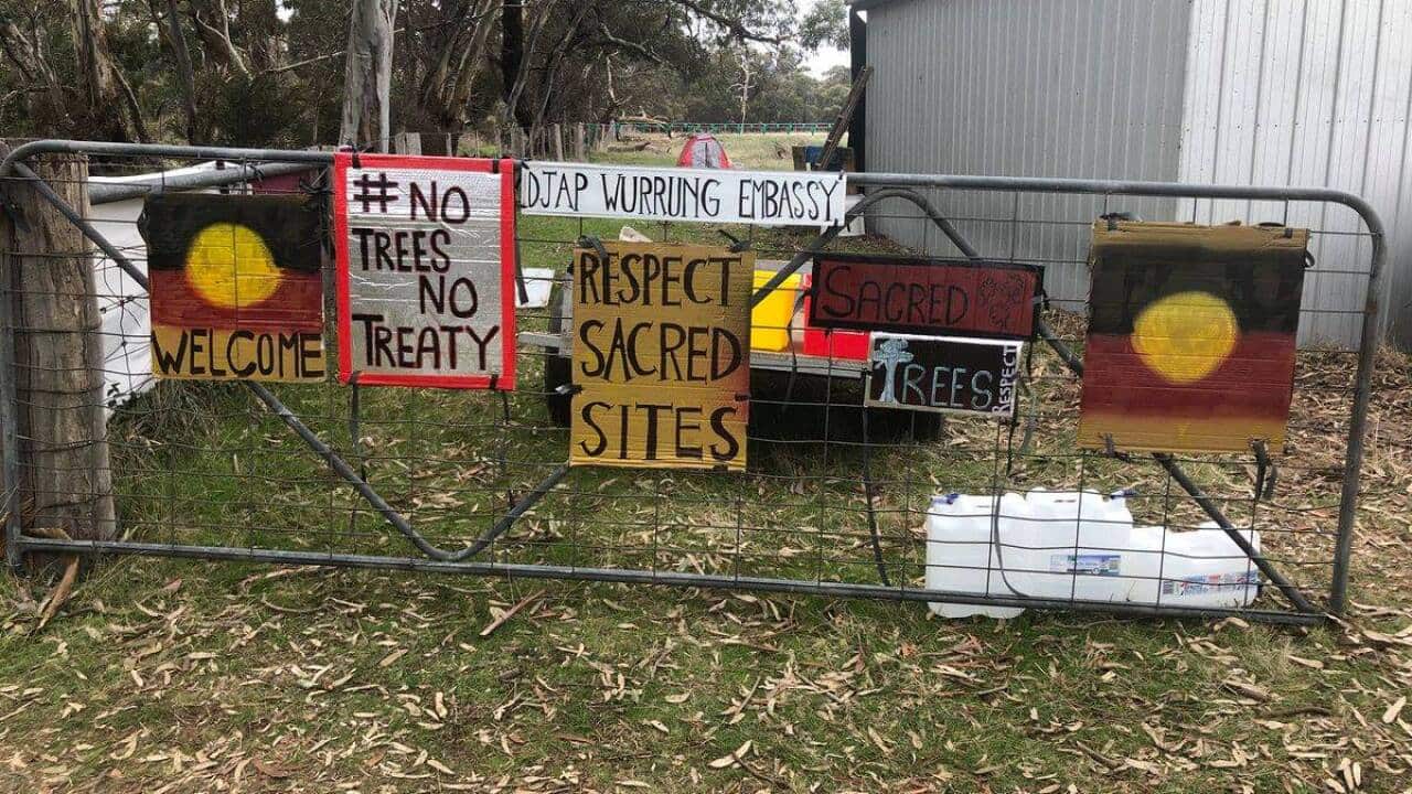 Road upgrade will bypass culturally significant trees