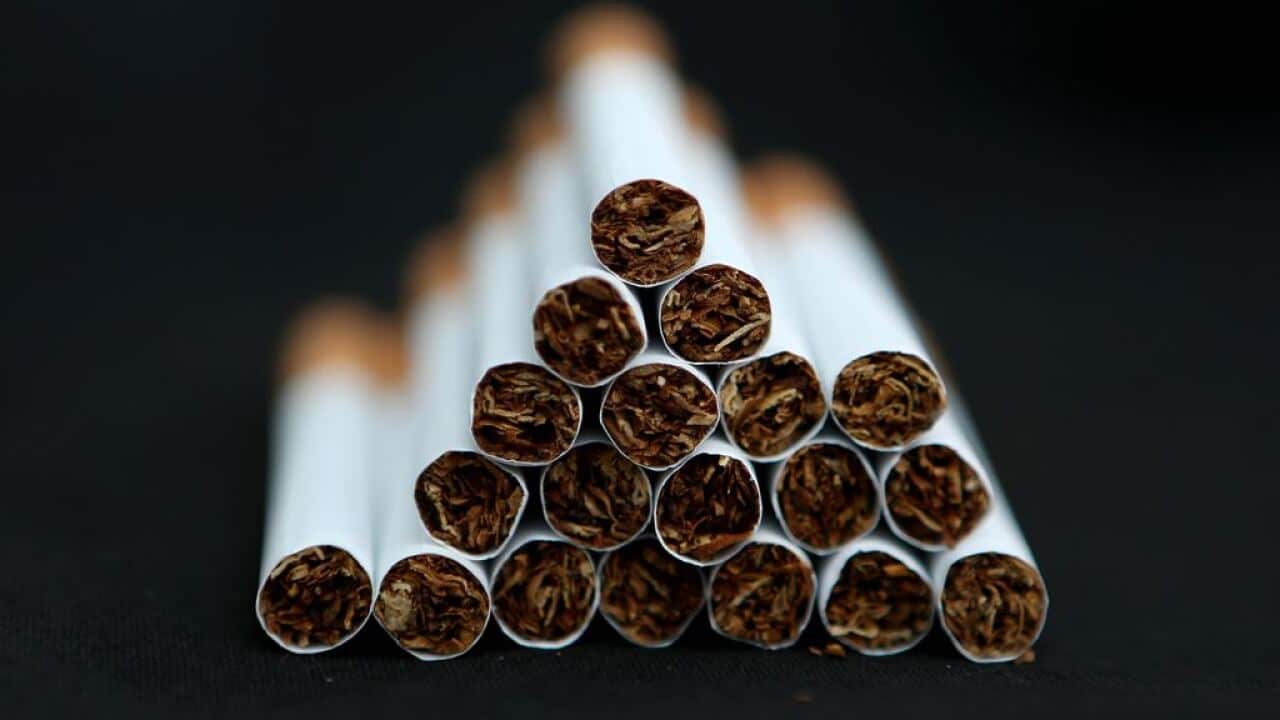 is tobacco better than cigarettes Smoking and vaping are often compared, but neither is harmless. While they work differently, both can expose the lungs to addictive nicotine and harmful chemicals that impact breathing and overall health. Smoking is tobacco better than cigarettes Smoking and vaping are often compared, but neither is harmless. While they work differently, both can expose the lungs to addictive nicotine and harmful chemicals that impact breathing and overall health. Smoking