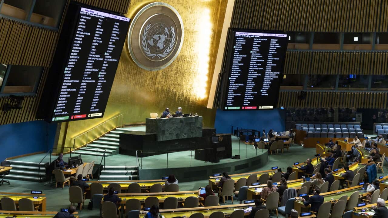 United Nations General Assembly votes on non-binding resolutions on Palestine