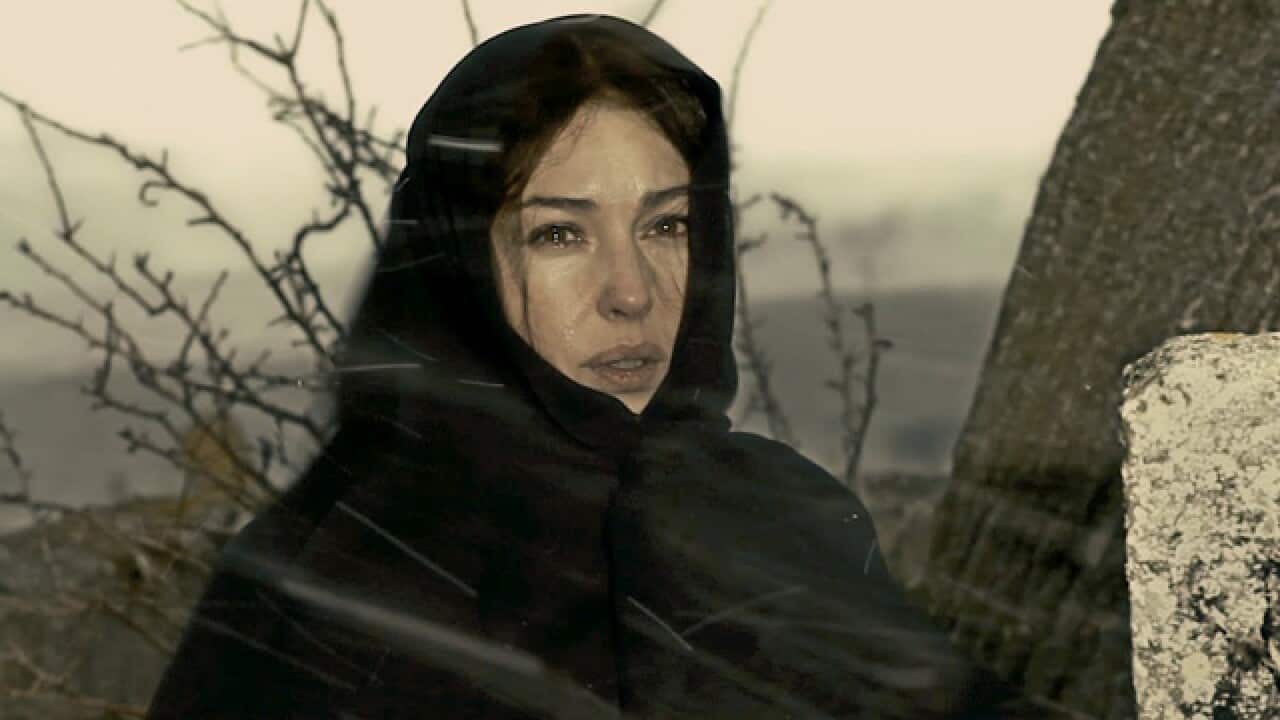 rhino_season_640n_441889536