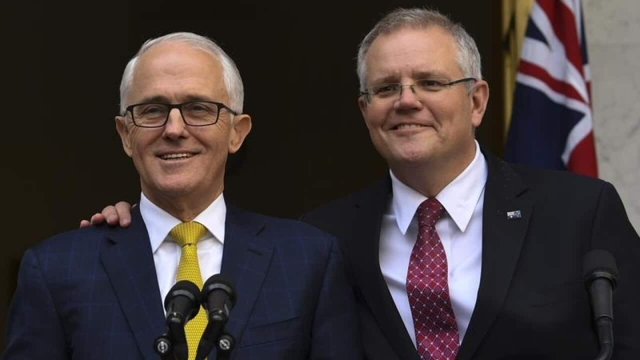 Scott Morrison has dismissed claims his relationship with Malcolm Turnbull has soured, telling SBS News he's around for the long haul.