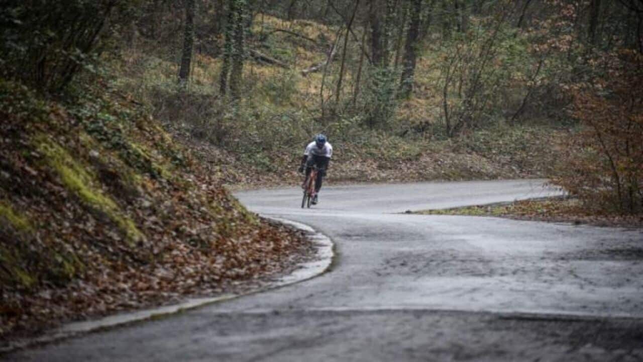 ነጋሲ ኣብርሃ ሃይሉ