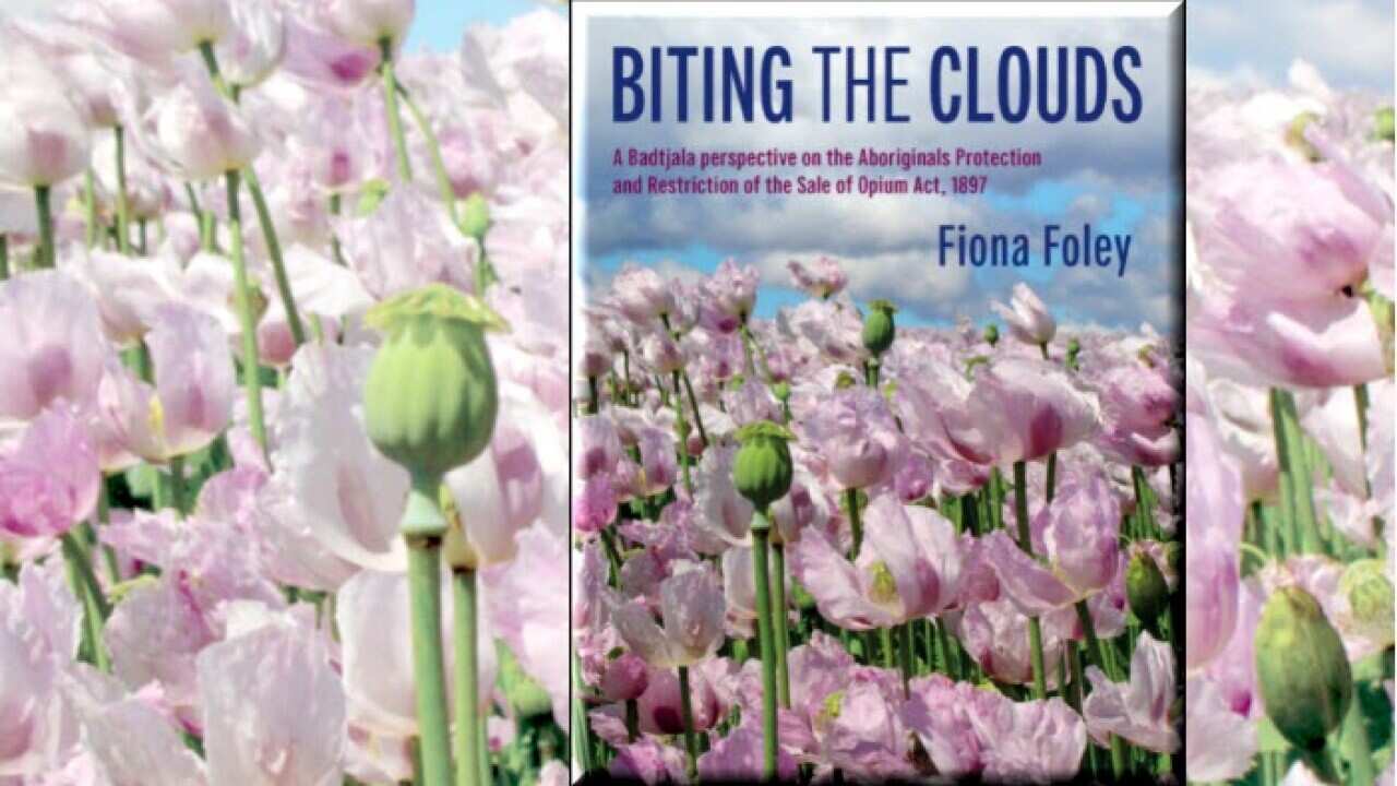 Biting The Clouds