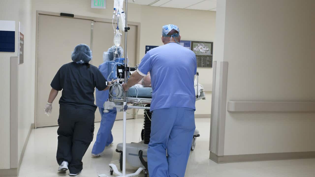 Australia's health service relies on staff who were born overseas