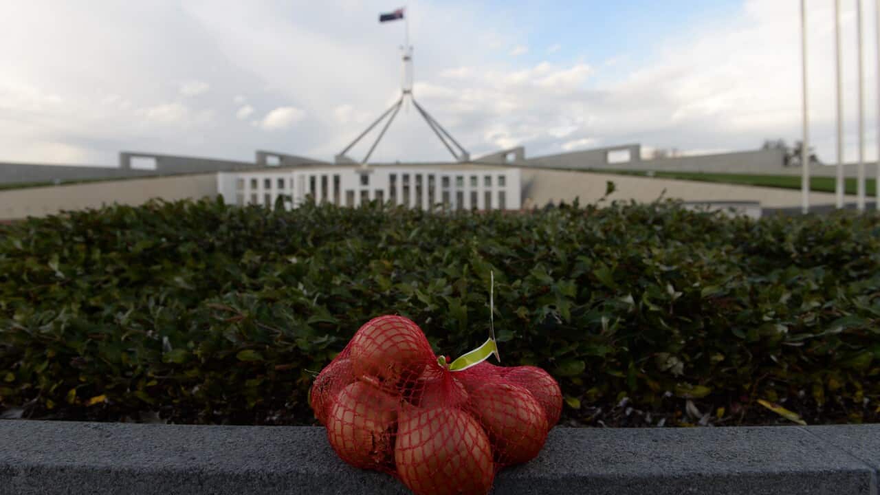 A bag of onions is seen outside Australian Parliament House