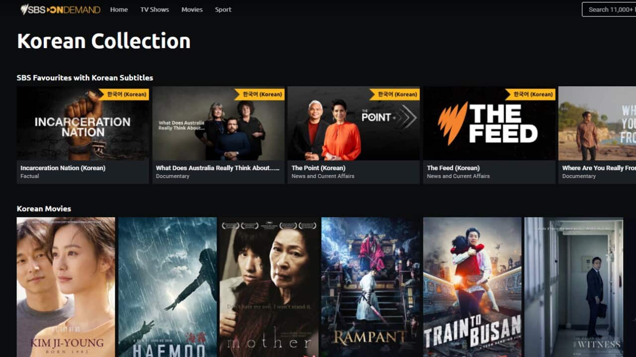 Image for read more article 'READ MORE'