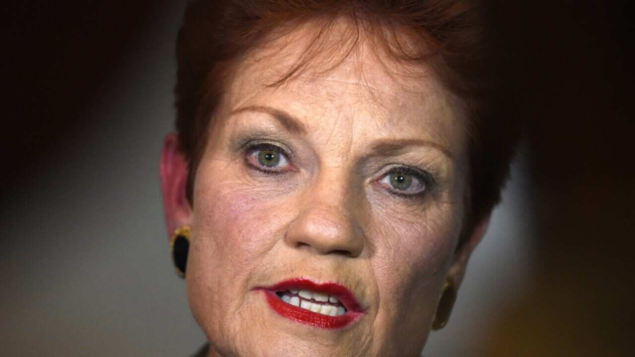 One Nation leader Senator Pauline Hanson