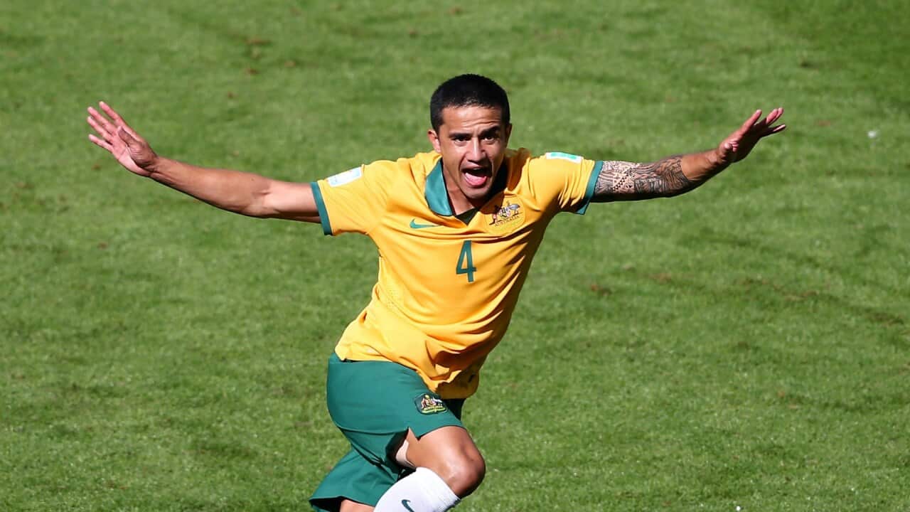 Tim Cahill