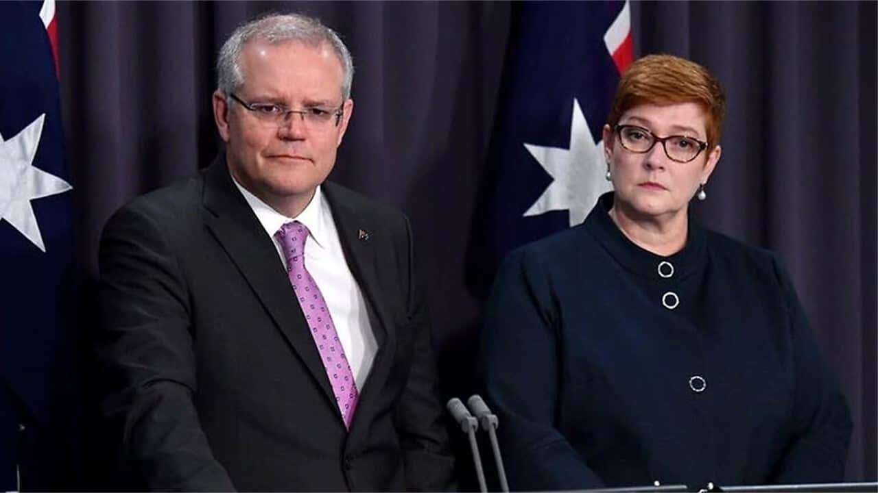 World Health Organization agrees to independent coronavirus probe after Australia's push