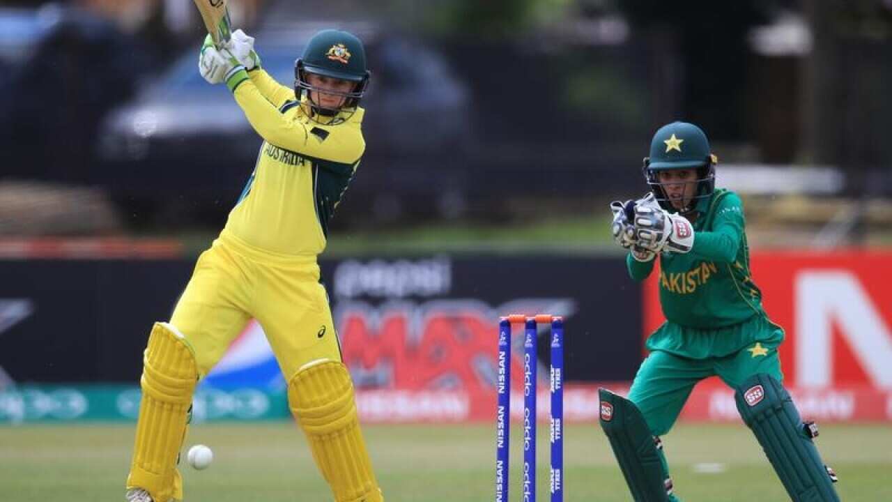 cricket