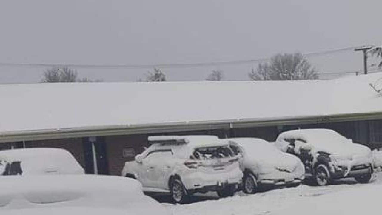 Cars blanketed in snow at Oberon.