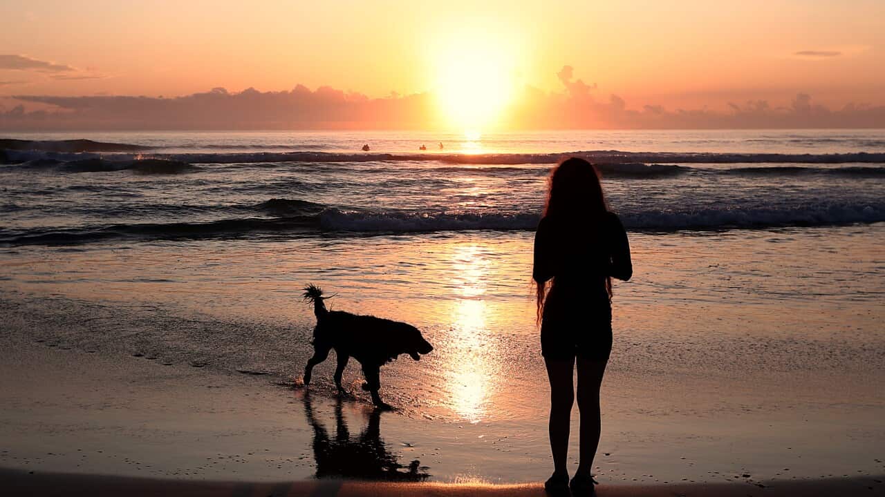 A woman and a dog on a beach at sunrise