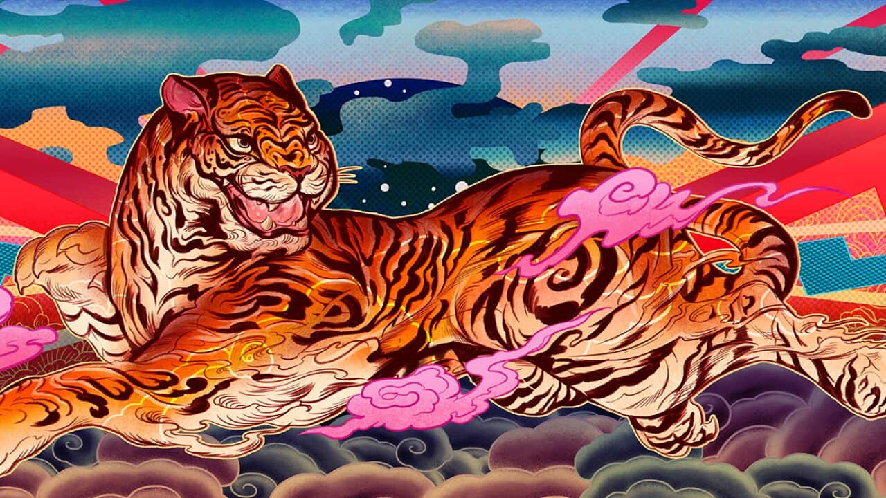 Year of the Tiger based on artwork by Chris Yee