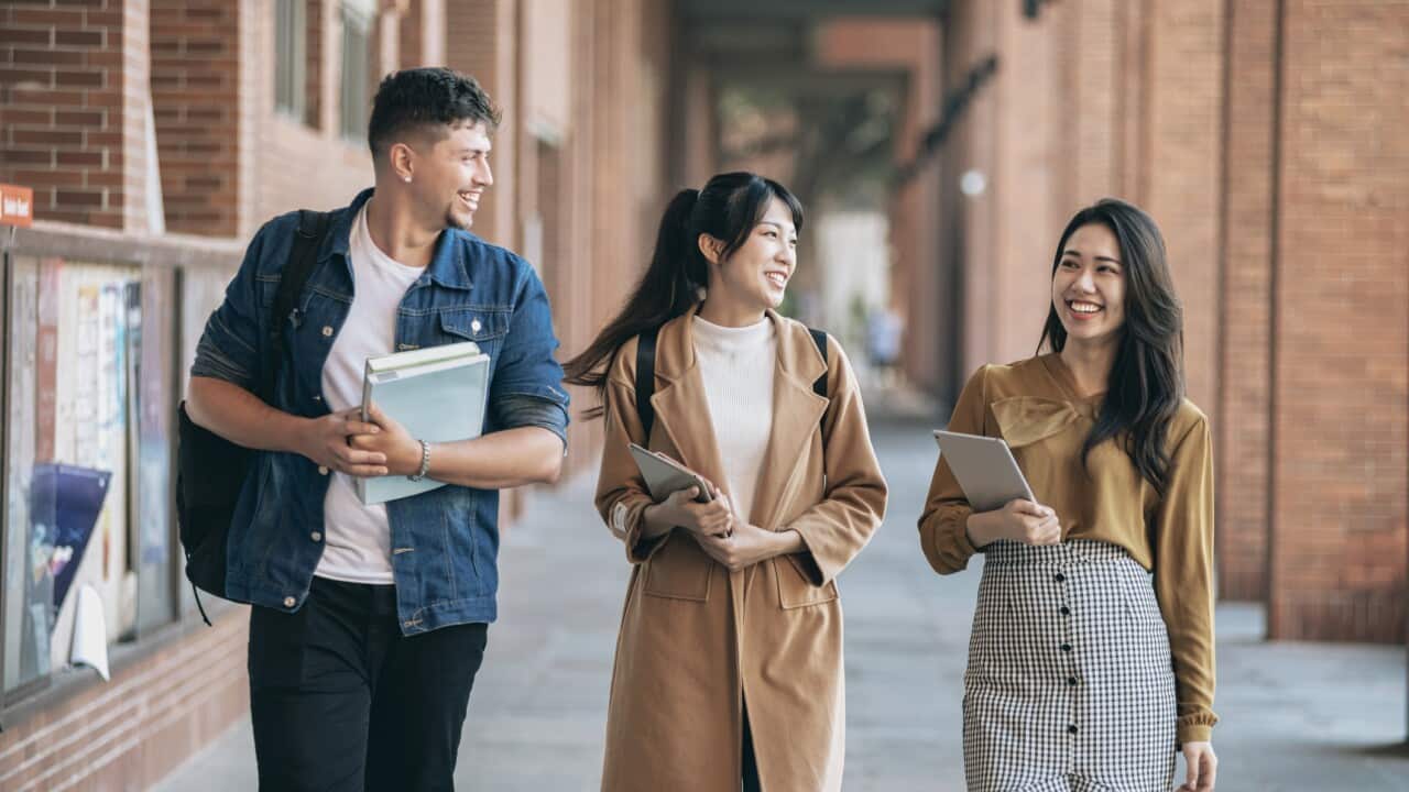 university student back to school