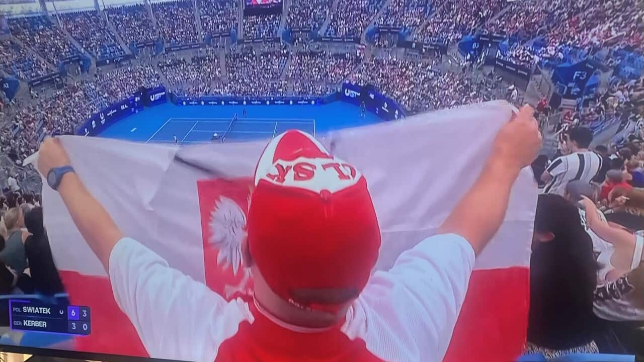 Tennis.jpg