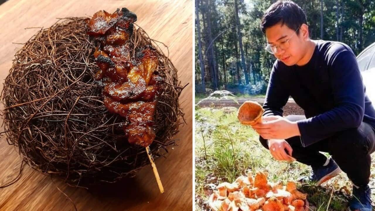 Image for read more article 'READ MORE'