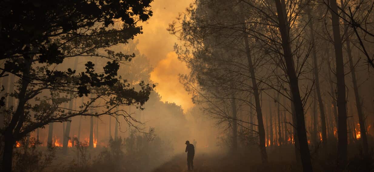 Spain's Bushfire Refugees Return Home as France Braces for Blazes