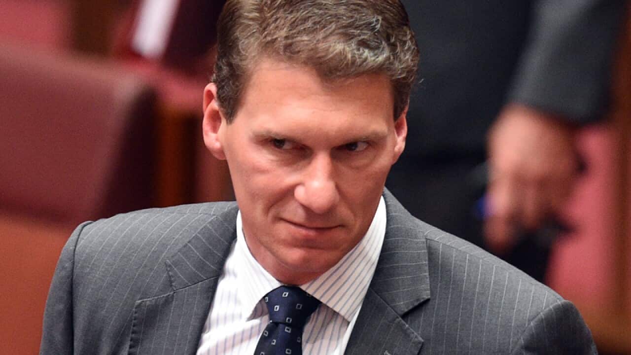Liberal senator Cory Bernardi