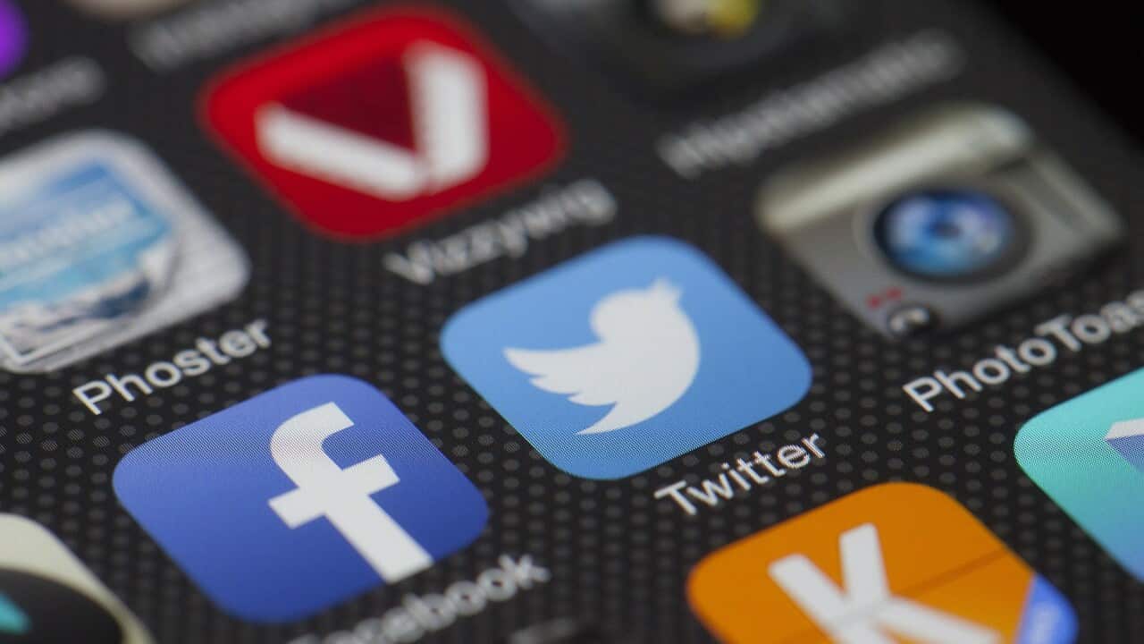 Social Media