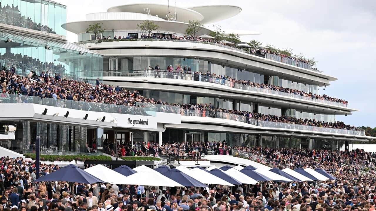 Melbourne Cup crowd in grandstand