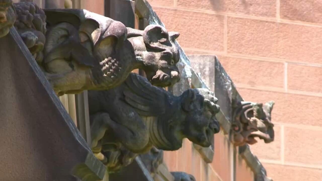 Sydney university's gargoyles