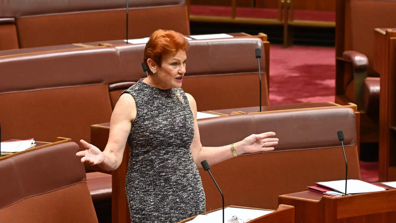 PAULINE HANSON SENATE BUSINESS