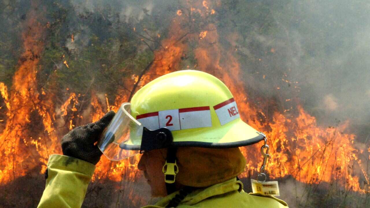 Firefighters at the scene of a small bushfire in Dudley