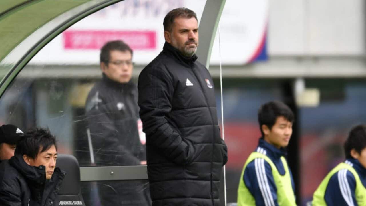 Postecoglou