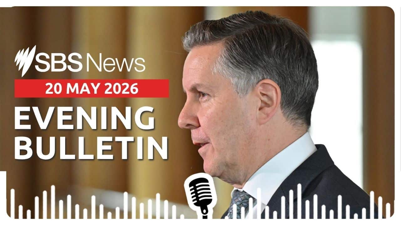 Cases climb in Australian diphtheria outbreak | Evening News Bulletin 20 May 2026