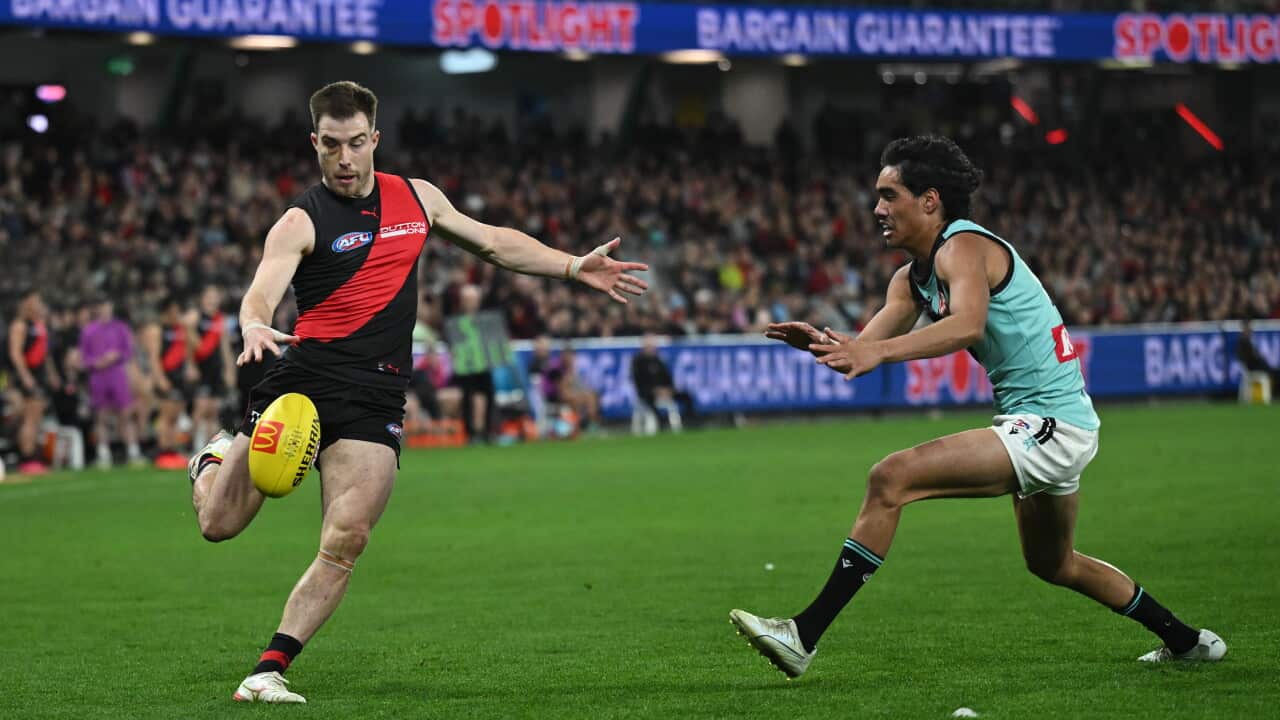 AFL BOMBERS POWER