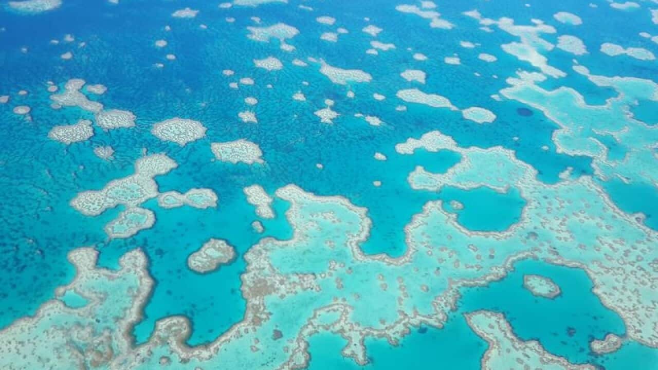 The Great Barrier Reef as viewed from above.