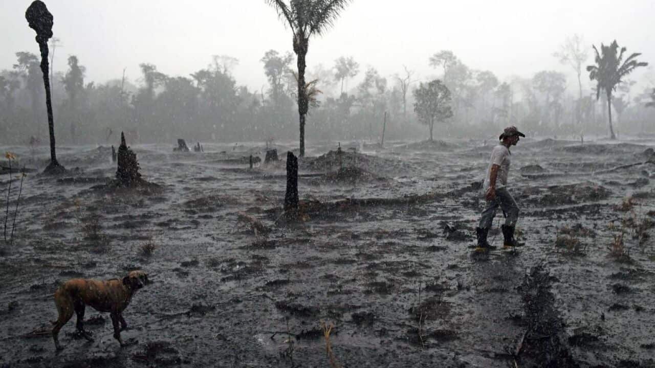 Image for read more article ''