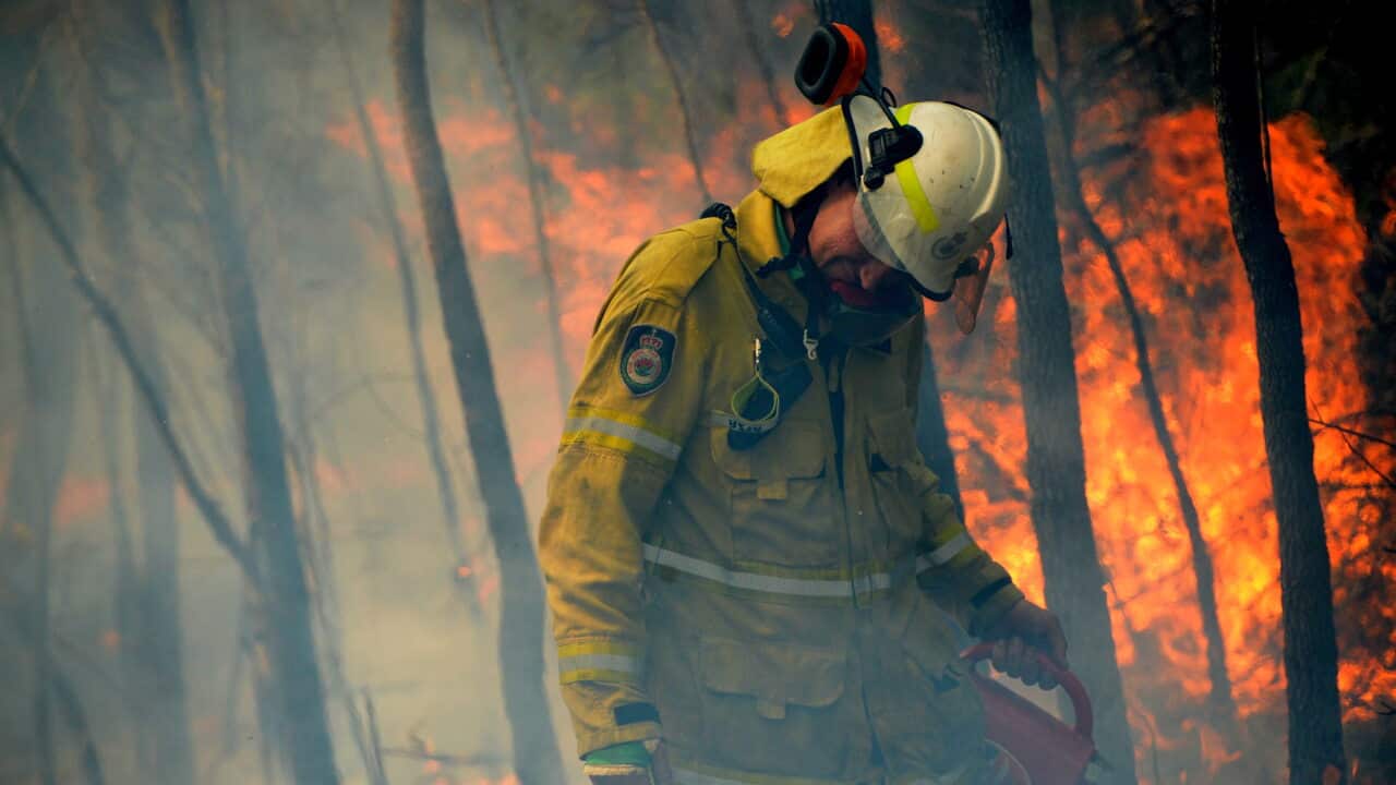 NSW Rural Fire fighters establish a backburn in Mangrove Mountain, New South Wales.