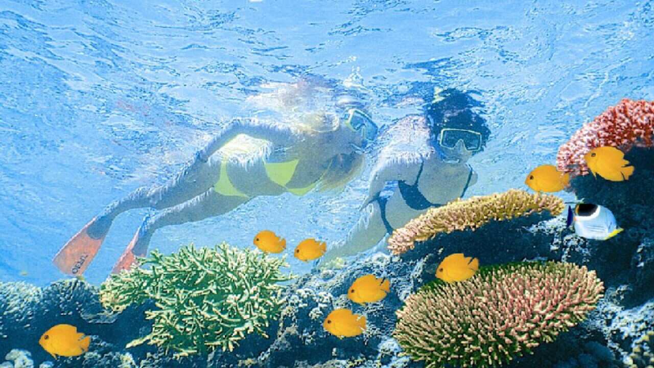 Scientists find signs of GBR water warming