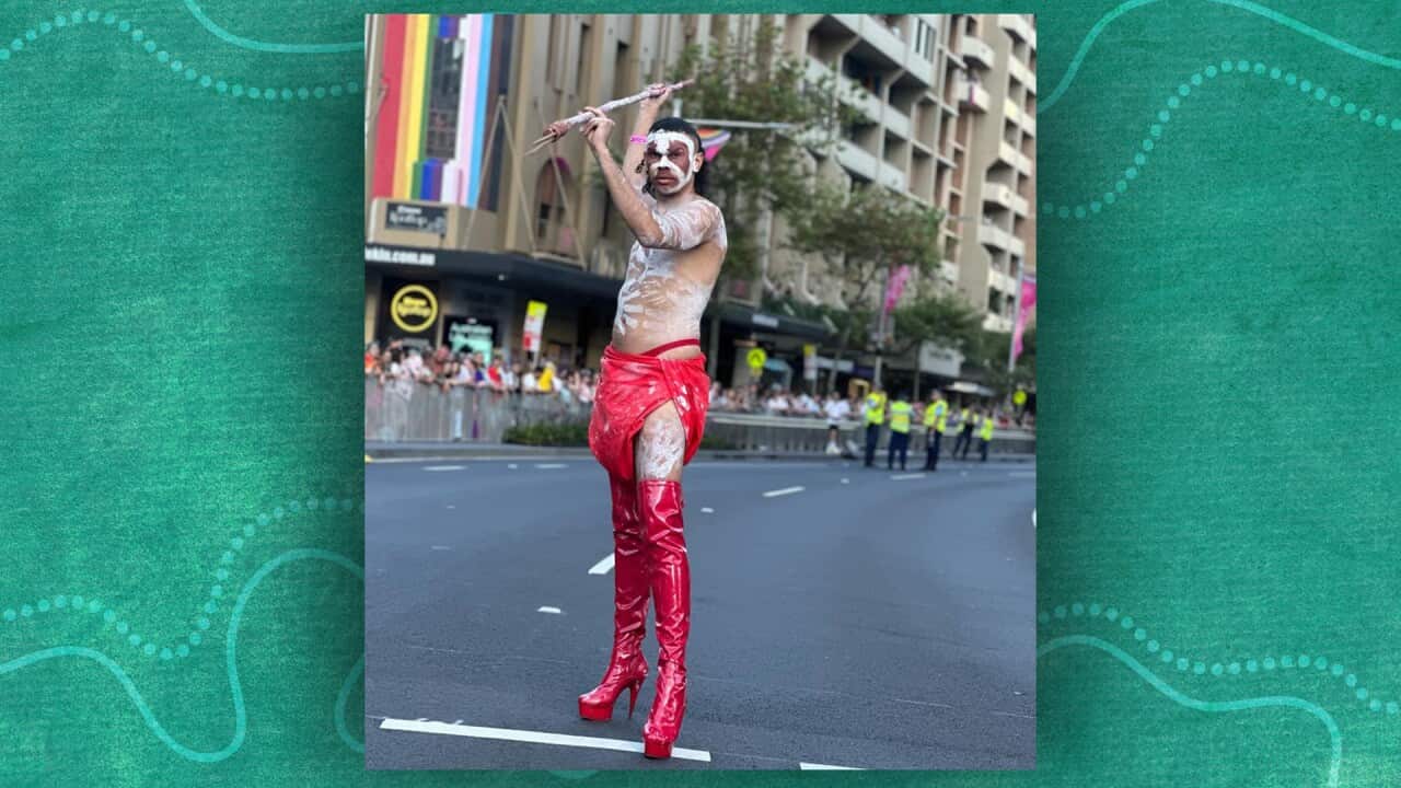 MARDI GRAS WEB HERO.jpg