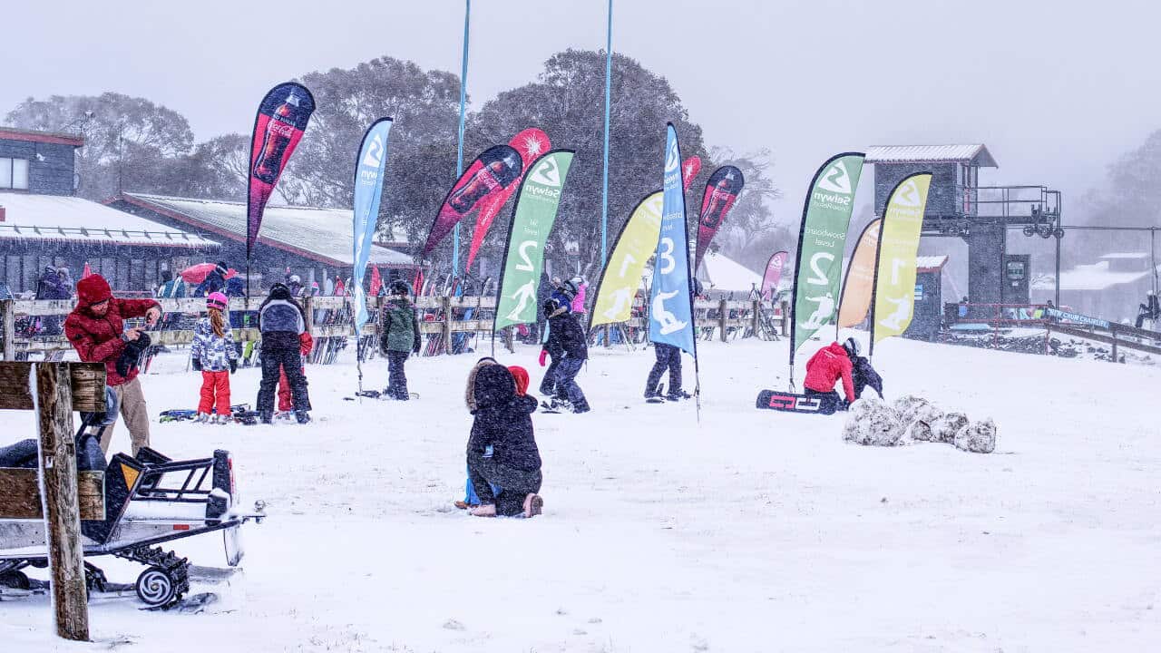 Where to See Snow in Australia: Some Places and Resorts to Visit This Winter